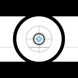 ONE SHOT ONE KILL