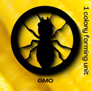 GMO
