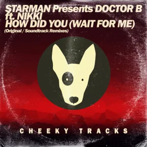 How Did You (Wait For Me) (Original Mix)