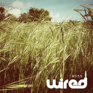 Playground Party (Enzo Siffredi Remix)