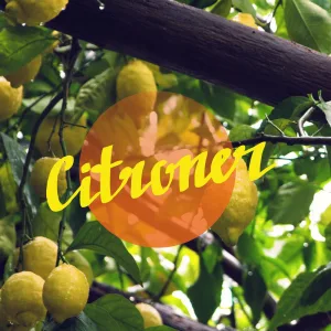 Citroner
