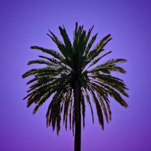 Who's This (Dub Remix)