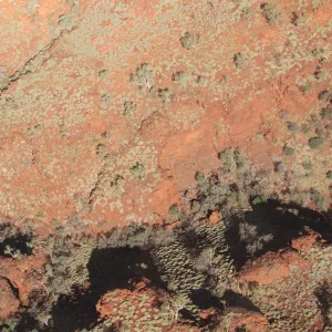 Tropic of Capricorn, Pt. II