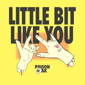 Little Bit Like You