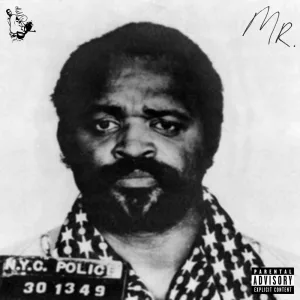 MISTER (feat. Ram3thy & Indacouch)