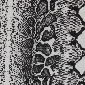 snakeskin