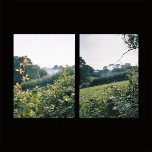 ellipticals