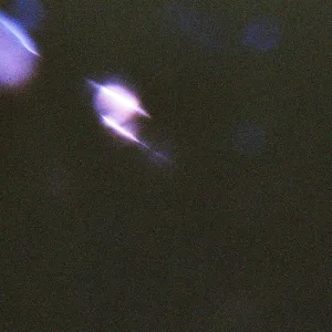 Andromeda