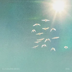 Cloudless Skies