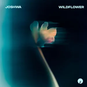 Wildflower