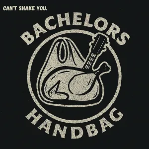 Can't Shake You