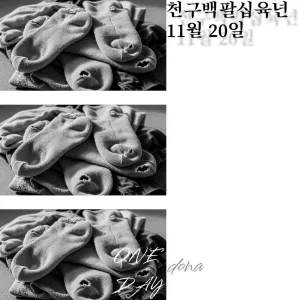 천구백팔십육년 11월20일