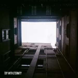 Toy With Eternity