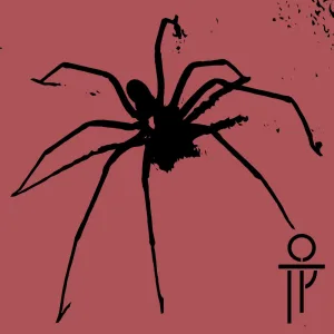 Order Araneae