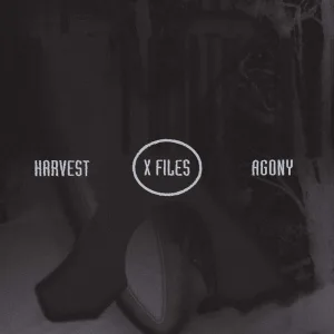 X FILES