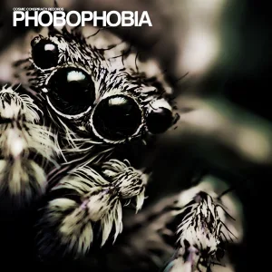 Kinemortophobia