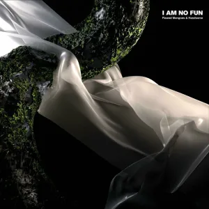 I Am No Fun