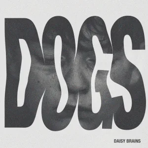 Dogs