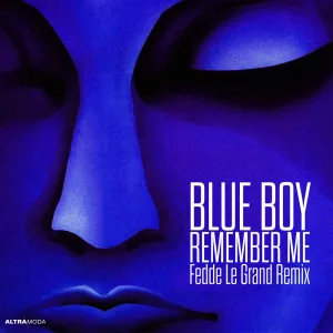 Remember Me (Fedde Le Grand Remix)