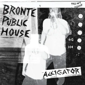 Alligator