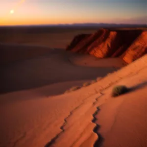 Dry Land