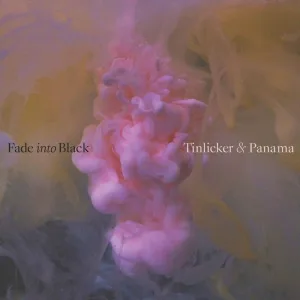 Fade Into Black (Acoustic Version)