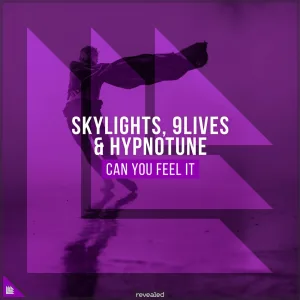 Can You Feel It (extended mix)