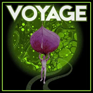 Voyage