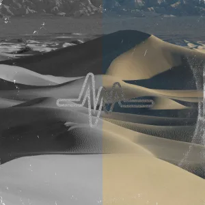 Fighting In The Sand
