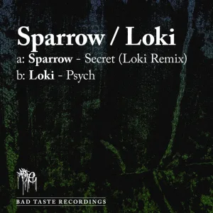 Secret (Loki Remix)