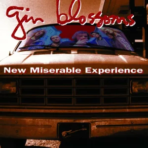 Album artwork for Hey Jealousy by Gin Blossoms