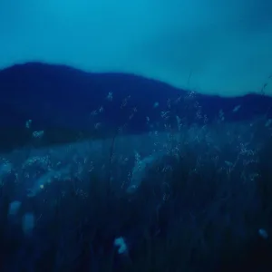 living feels like this