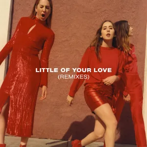 Little Of Your Love (Wookie Remix)