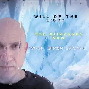 Will Of The Light