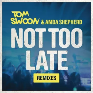 Not Too Late (Original Mix)