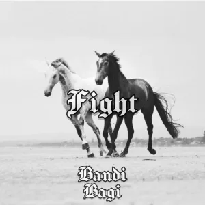 Fight