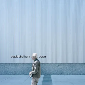 Down