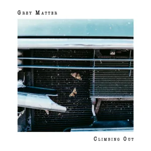 Consent