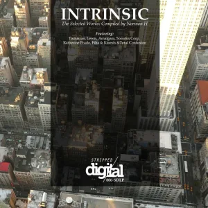 Insatiable Minds (Remastered Original)