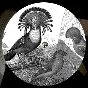 I Met You (Late Nite Tuff Guy Disco Dub)