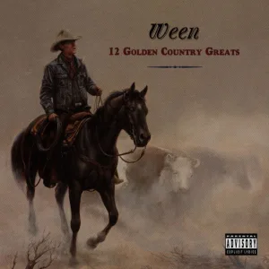 Japanese Cowboy