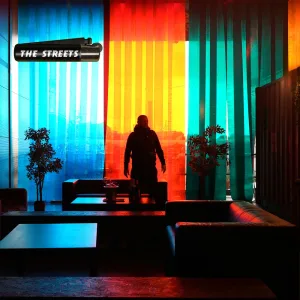 Troubled Waters (Zed Bias UKG Mix; Dub)