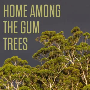Blowflies, Guitars & Ten Gallon Hats
