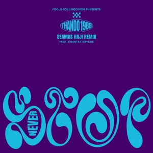 Never Stop (Seamus Haji Remix)