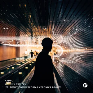 Waiting for You (feat. Timmy Commerford & Veronica Bravo)