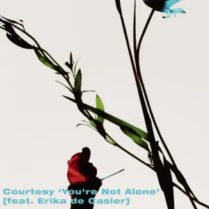 You're Not Alone (Dance Review)
