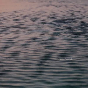nevermind