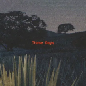 These Days (feat. parallel)