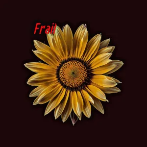 Frail