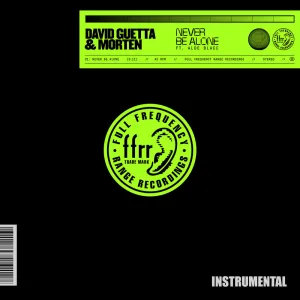Never Be Alone (feat. Aloe Blacc) (Instrumental; Extended)